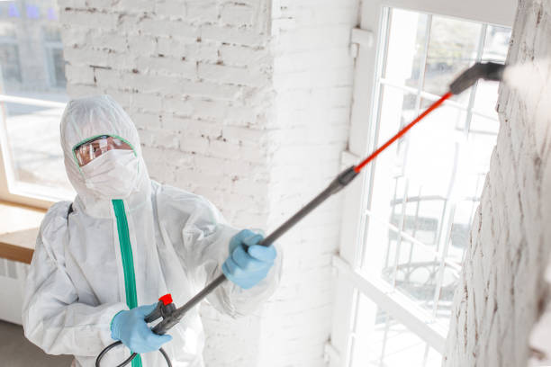 Best Environmental Consulting for Mold Prevention  in Midway North, TX