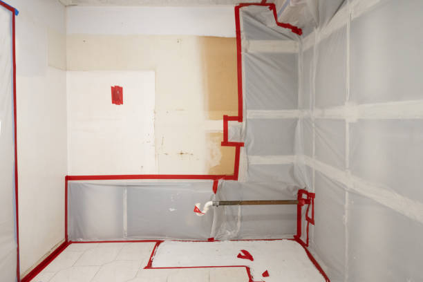 Midway North, TX Mold Removal Company