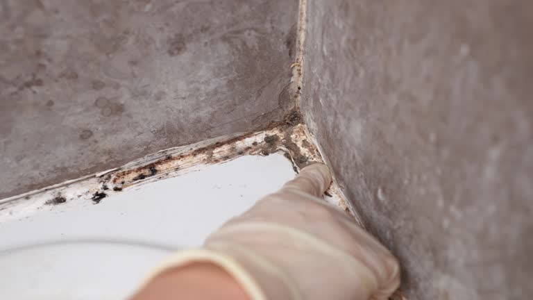 Asbestos and Lead Testing During Mold Inspection in Midway North, TX